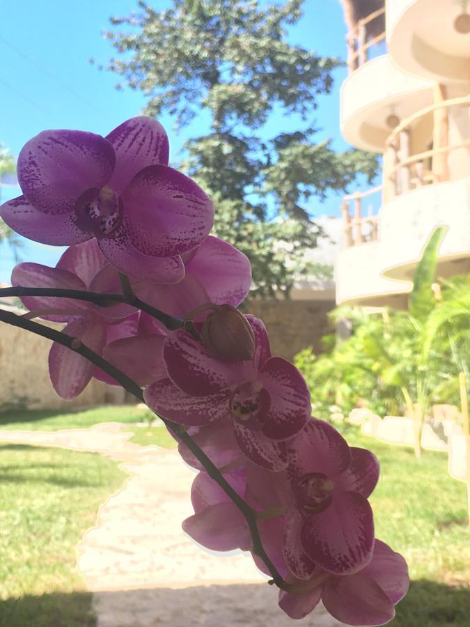 Hotel Boutique Jabin Tulum Ngoại thất bức ảnh