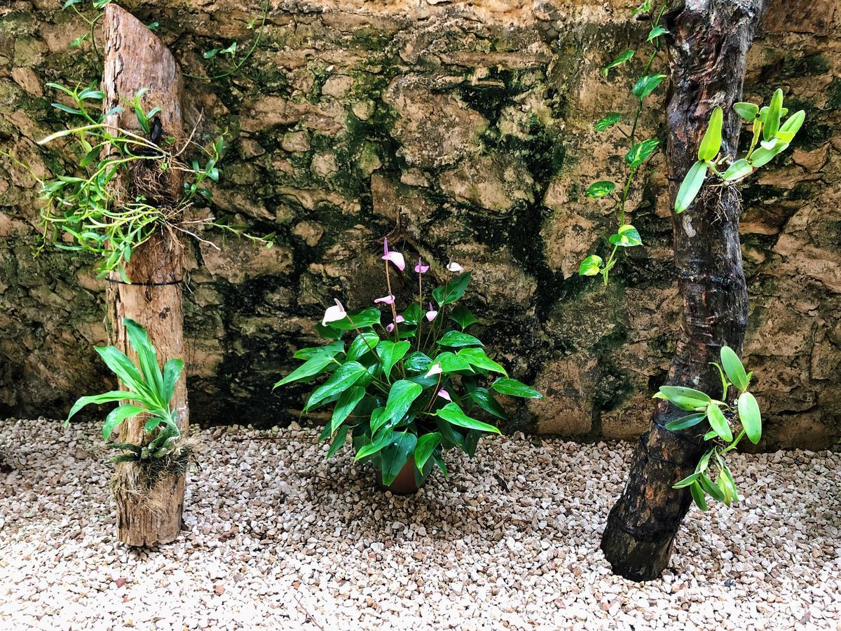 Hotel Boutique Jabin Tulum Ngoại thất bức ảnh
